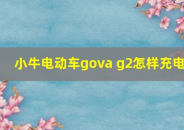 小牛电动车gova g2怎样充电